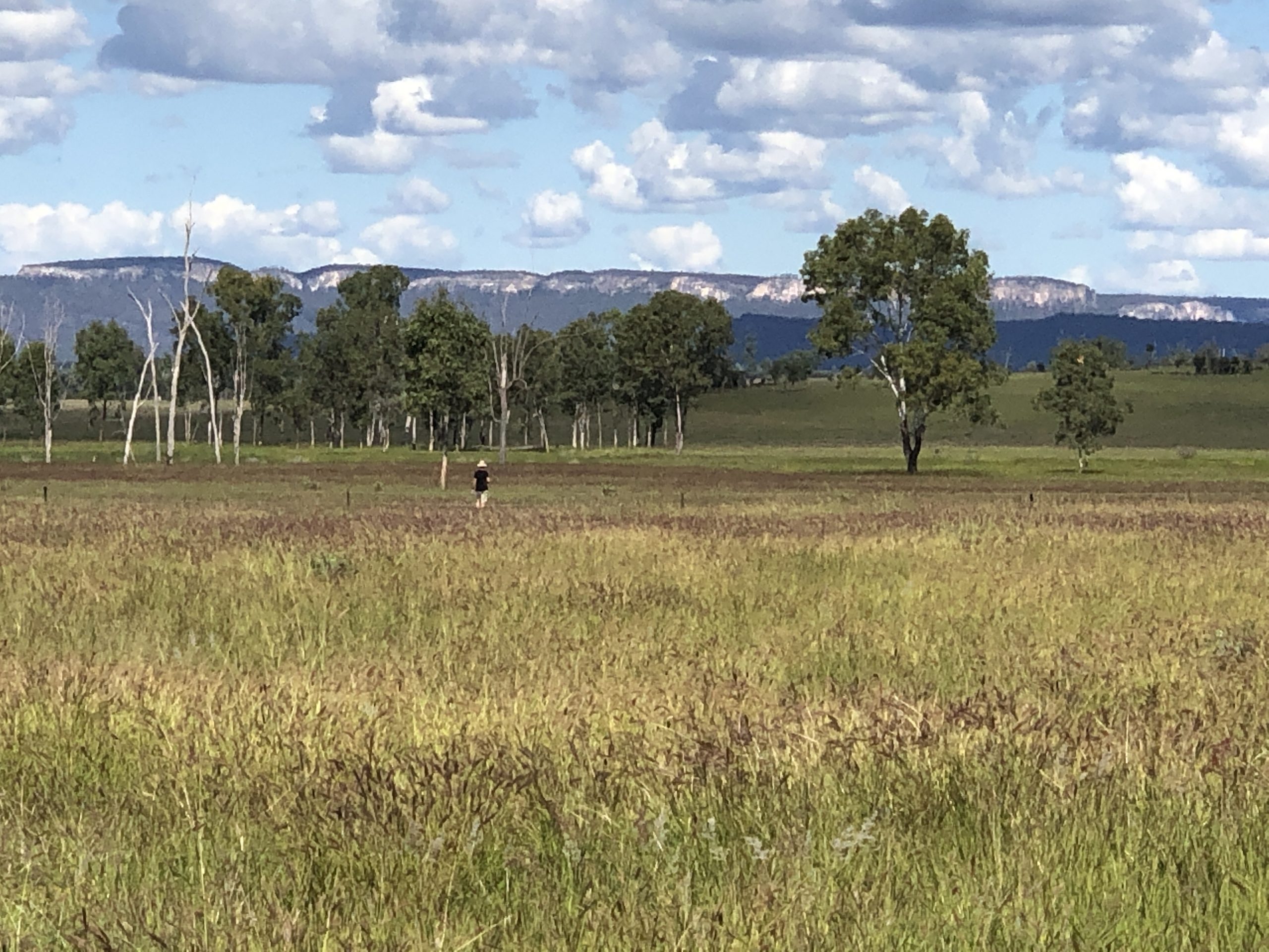 Camp 91 Day 416 Emerald QLD Halling Around